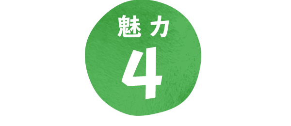 魅力4