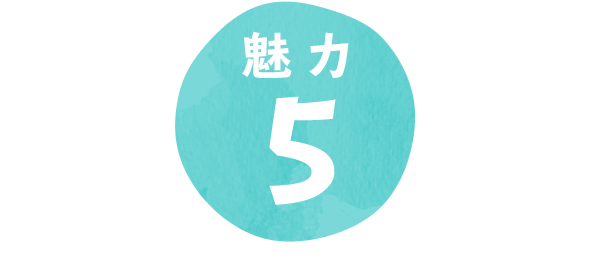 魅力5